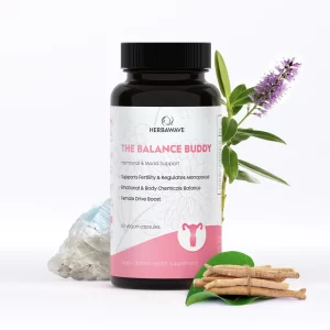 The Balance Buddy